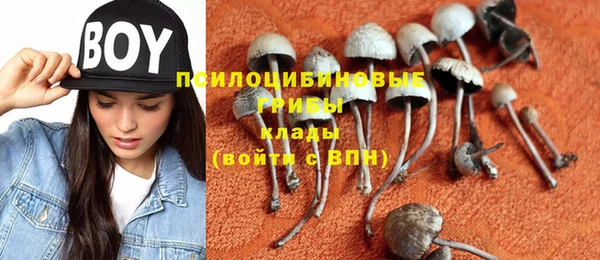 герыч Алзамай