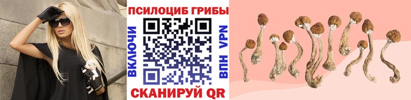 магазин    Кудрово  Псилоцибиновые грибы Magic Shrooms 